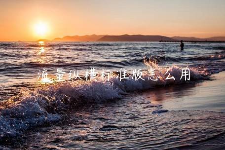 流量縱橫標(biāo)準(zhǔn)版怎么用